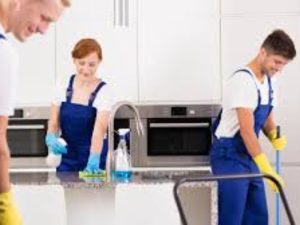 Dọn Dẹp Nhà Ở Và Vệ Sinh Công Nghiệp Tại Xã Mỹ Đức 4 23 1 1