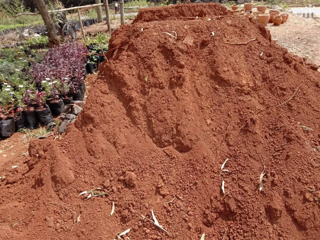 Đại lý đất màu trồng cây phường Kiến Hưng giá rẻ 1 47