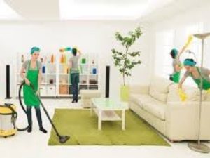 Dọn Dẹp Nhà Ở Và Vệ Sinh Công Nghiệp Tại Xã Đoài Phương 4 6 1 1