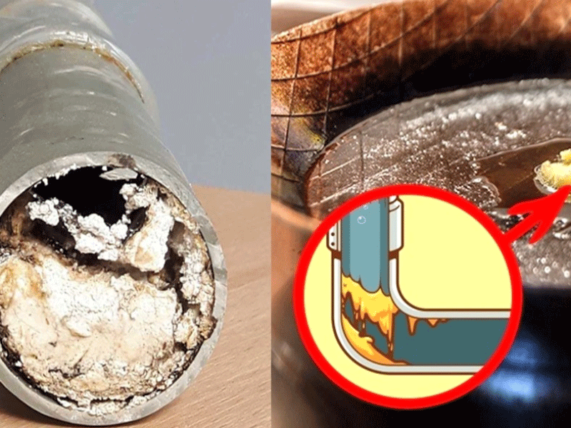 Hút bể mỡ chất thải